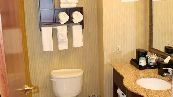 Hampton Inn East Lansing | Michigan - Lansing (ve civarı) - East Lansing