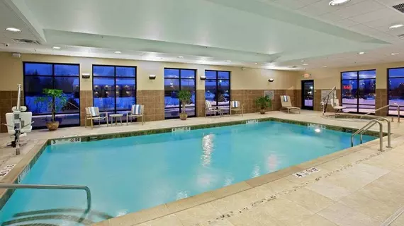 Dollinger's Inn & Suites | New York - Rochester (ve civarı) - Brockport