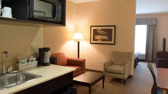 Holiday Inn Express Hotel & Suites Andover East 54 Wichita | Kansas - Wichita (ve civarı) - Andover