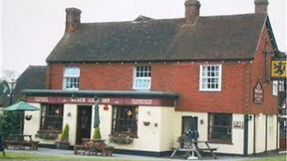 The Black Lion Inn | Doğu Sussex (kontluk) - Lewes