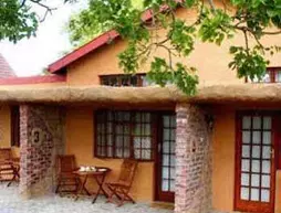 Treetops Guesthouse | Eastern Cape - Nelson Mandela Bay - Port Elizabeth