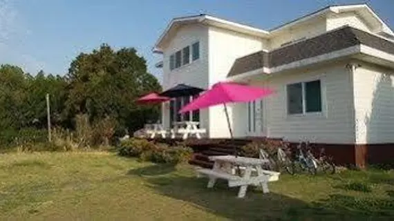 Olle Guesthouse | Jeju Adası - Seogwipo - Seogwipo Şehri