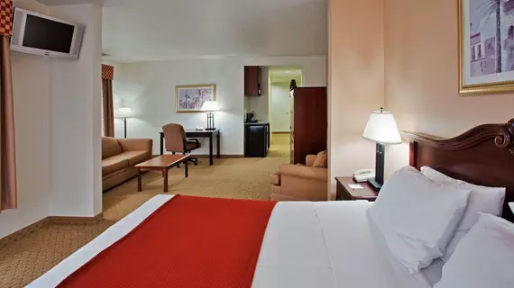 Holiday Inn Express Hotel & Suites Tampa Stadium-Airport | Florida - Tampa (ve civarı) - Tampa