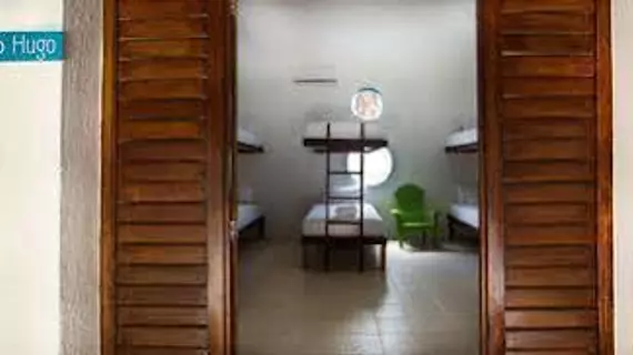 Beds Friends Hostel | Quintana Roo - Cozumel