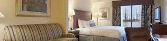 Wingate by Wyndham Atlanta Galleria | Georgia - Atlanta (ve civarı) - Atlanta - Cumberland