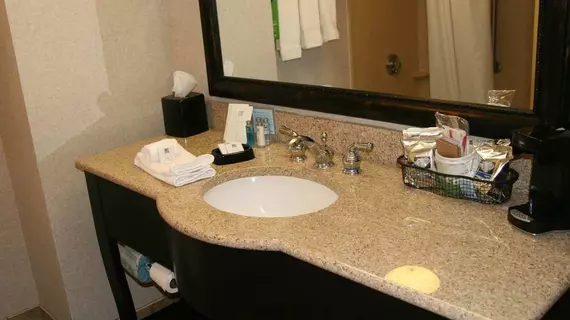 Hampton Inn Lafayette Louisiana | Louisiana - Lafayette (ve civarı) - Scott