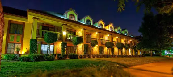 BEST WESTERN PLUS Raffles Inn and Suites | Kaliforniya - Orange County - Anaheim - Anaheim Resort