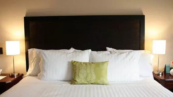 Hotel Morrison 84 | Cundinamarca - Bogota (ve civarı) - Bogota - Zona T - Zona Rosa