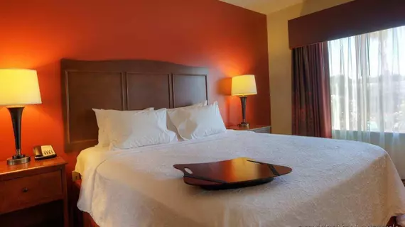 Hampton Inn & Suites McAllen | Teksas - McAllen (ve civarı) - McAllen