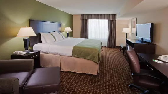 Holiday Inn Daytona Beach LPGA Boulevard | Florida - Daytona Beach (ve civarı) - Daytona Beach