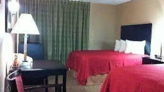 Days Inn by Wyndham Arlington Six Flags/AT&T Stadium | Teksas - Dallas (ve civarı) - Arlington