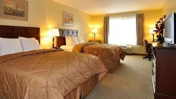 Comfort Inn Near FairPlex | Kaliforniya - Los Angeles County - San Gabriel Valley