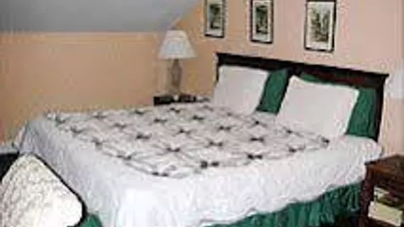 Inn on St Ann | Louisiana - New Orleans (ve civarı) - New Orleans - French Quarter (Fransız Mahallesi)