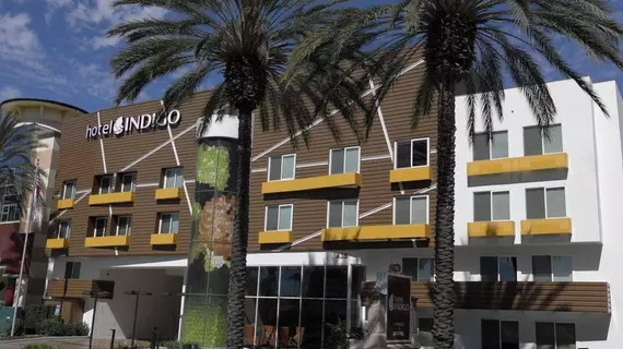 Hotel Indigo Anaheim Maingate | Kaliforniya - Orange County - Anaheim - Anaheim Resort