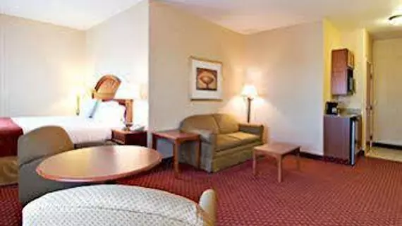 Holiday Inn Express Hotel & Suites Moses Lake | Washington - Moses Lake (ve civarı) - Moses Lake