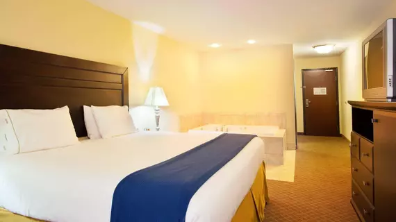 Holiday Inn Express Hotel & Suites Chicago South Lansing | İllinois - Lansing