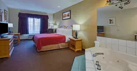 Country Inn & Suites by Radisson Matteson | İllinois - Matteson