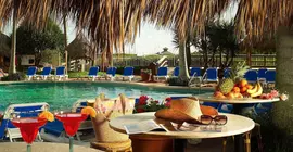 Palm Beach Shores Resort and Vacation Villas | Florida - Palm Beach - Batı Palm Beach (ve civarı) - Palm Beach Shores