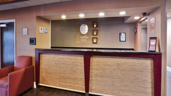 COMFORT INN OXFORD | Ohio - Cincinnati (ve civarı) - Oxford