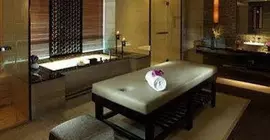 Pullman Shanghai Jingan | Şanghay (ve civarı) - Jing'an - Zhabei