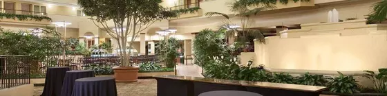 Embassy Suites by Hilton Columbia-Greystone | Güney Karolayna - Columbia (ve civarı) - Columbia