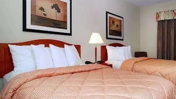 Comfort Inn DFW Airport North | Teksas - Dallas (ve civarı) - Irving