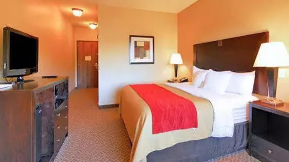 Comfort Inn & Suites Scottsboro | Alabama - Scottsboro (ve civarı) - Scottsboro