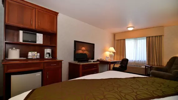 Best Western Plus Twin Falls Hotel | Idaho - Twin Falls (ve civarı) - Twin Falls