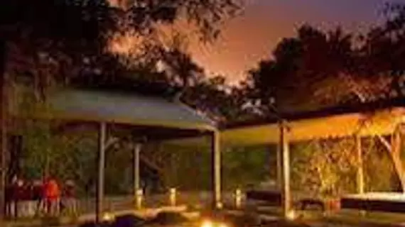 Honeyguide Tented Safari Camps | Mpumalanga - Mbombela - Kruger National Park