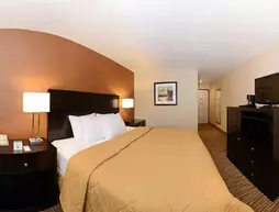 Comfort Inn Near Lake Coeur D'Alene Post Falls | Idaho - Coeur d'Alene (ve civarı) - Post Falls