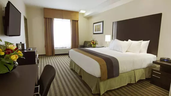 Best Western Plus Sherwood Park Inn & Suites | Alberta - Edmonton (ve civarı) - Sherwood Park