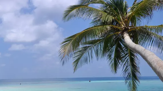 Water Breeze | Maldivler - Kaafu Atoll - Maafushi