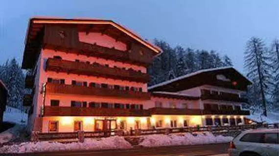 Hotel Des Alpes | Veneto - Belluno (vilayet) - Cortina d'Ampezzo