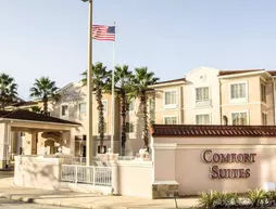 Comfort Suites Downtown Orlando | Florida - Orlando (ve civarı) - Orlando