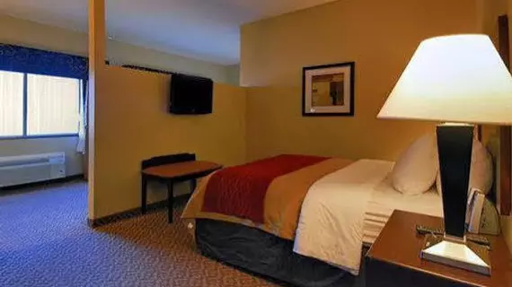 Comfort Inn & Suites Scottsboro | Alabama - Scottsboro (ve civarı) - Scottsboro