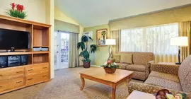 Dolphin's Cove Resort | Kaliforniya - Orange County - Anaheim - Anaheim Resort