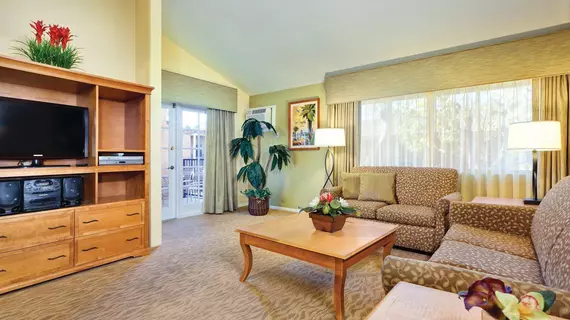 Dolphin's Cove Resort | Kaliforniya - Orange County - Anaheim - Anaheim Resort