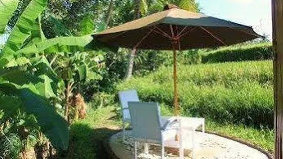 Shriman Yoga Bungalows | Bali - Ubud - Ubud Kent Merkezi