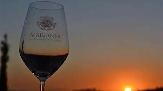 Marianne Wine Estate | Western Cape (il) - West Coast DC - Drakenstein - Cape Town (ve civarı) - Stellenbosch