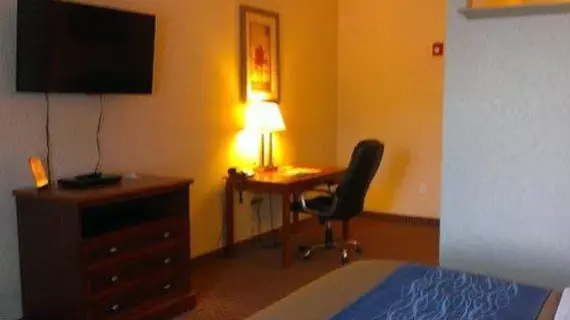 Comfort Inn & Suites Kent | Ohio - Summit İlçesi - Akron (ve civarı) - Kent