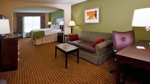 Holiday Inn Daytona Beach LPGA Boulevard | Florida - Daytona Beach (ve civarı) - Daytona Beach