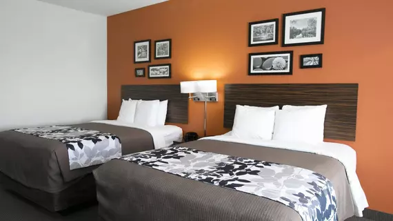 Sleep Inn & Suites - I-45/ Airtex | Teksas - Houston (ve civarı) - Houston