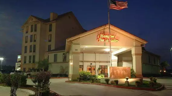 Hampton Inn and Suites Houston Clear Lake NASA | Teksas - Houston (ve civarı) - Webster