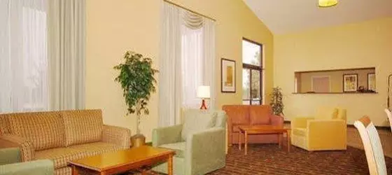 Comfort Inn Colorado Springs | Kolorado - Colorado Springs (ve civarı) - Colorado Springs