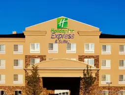 Holiday Inn Express Hotel & Suites Waukegan/Gurnee | İllinois - Waukegan