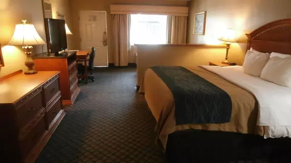 Comfort Inn Sun City Center | Florida - Tampa (ve civarı) - Sun City Center