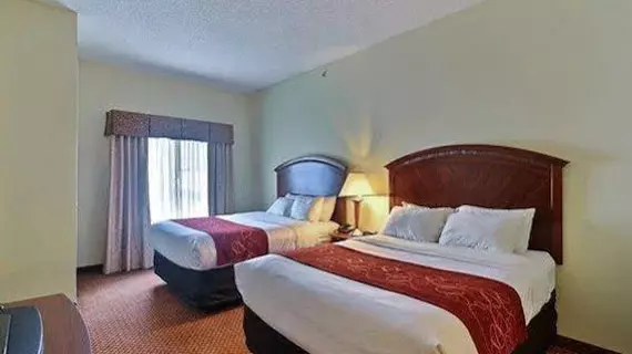 Comfort Suites Indianapolis Airport | Indiana - Indianapolis (ve civarı) - Indianapolis