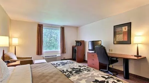 Sleep Inn & Suites Chambersburg | Pensilvanya - Gettysburg (ve civarı) - Chambersburg - İskoçya