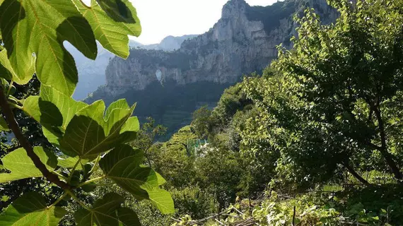 Colle dell'Ara | Campania - Salerno (il) - Positano