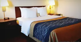 Comfort Inn Tacoma | Washington - Tacoma (ve civarı) - Tacoma